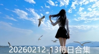 20260212-13每日合集