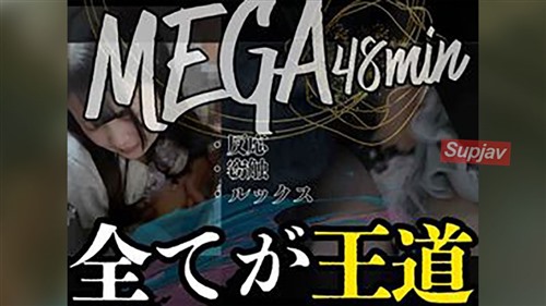 FC2PPV 4833475 ［長時間48分窃触］清純派センターの公共玩具堕ち。王道窃触性的吐息漏れ.jpg