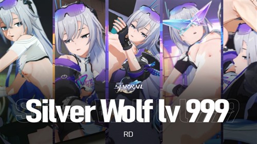 11233-[RD] Silver Wolf 999.jpg