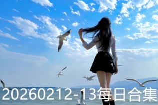 20260212-13每日合集