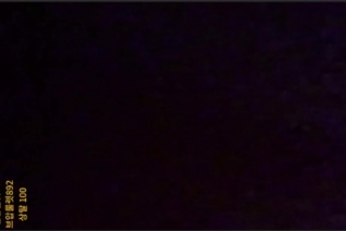 bzhan99