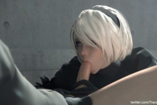 27885-[3D动画] 2B and 9s outdoors [2B小姐姐御姐口交性爱]